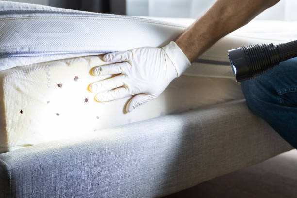 Best Residential Pest Control  in Millersport, OH